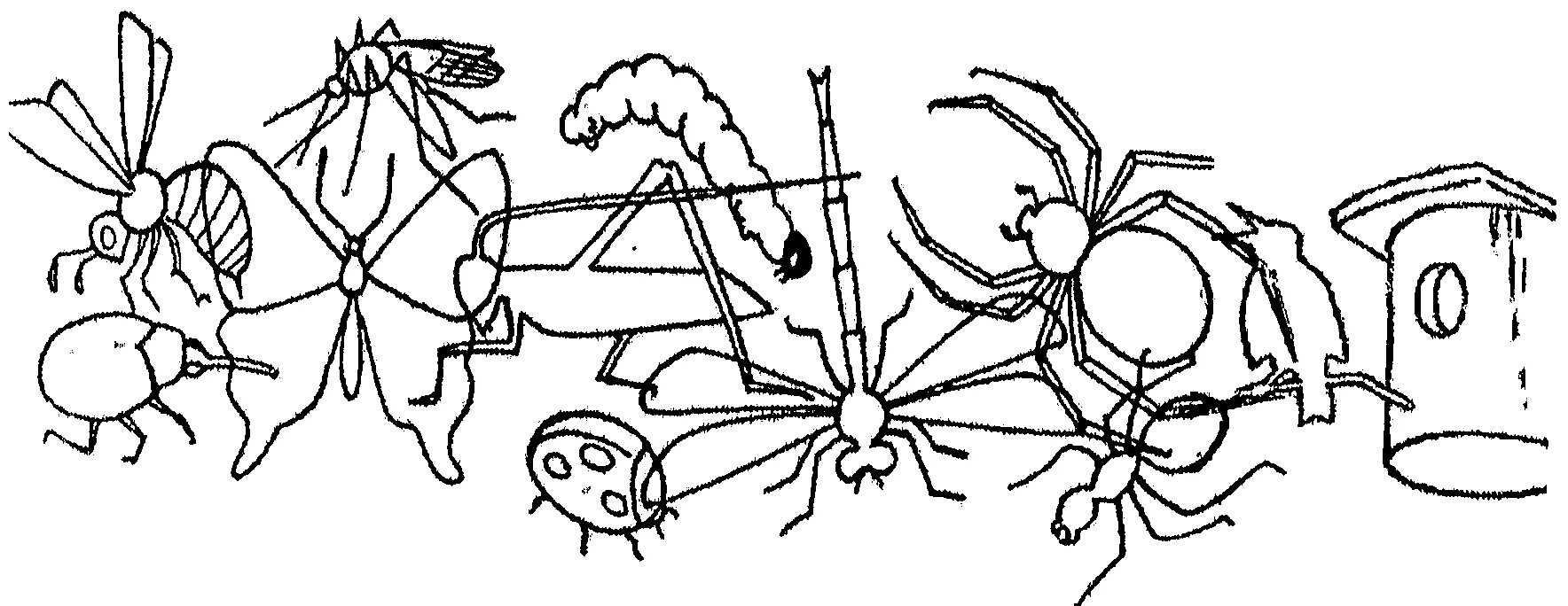 Насекомые 1 младшая группа. Насекомые задания для малышей. Задания по насекомым для дошкольников. Задания для детей по теме насекомые. Логопедическая тема насекомые.
