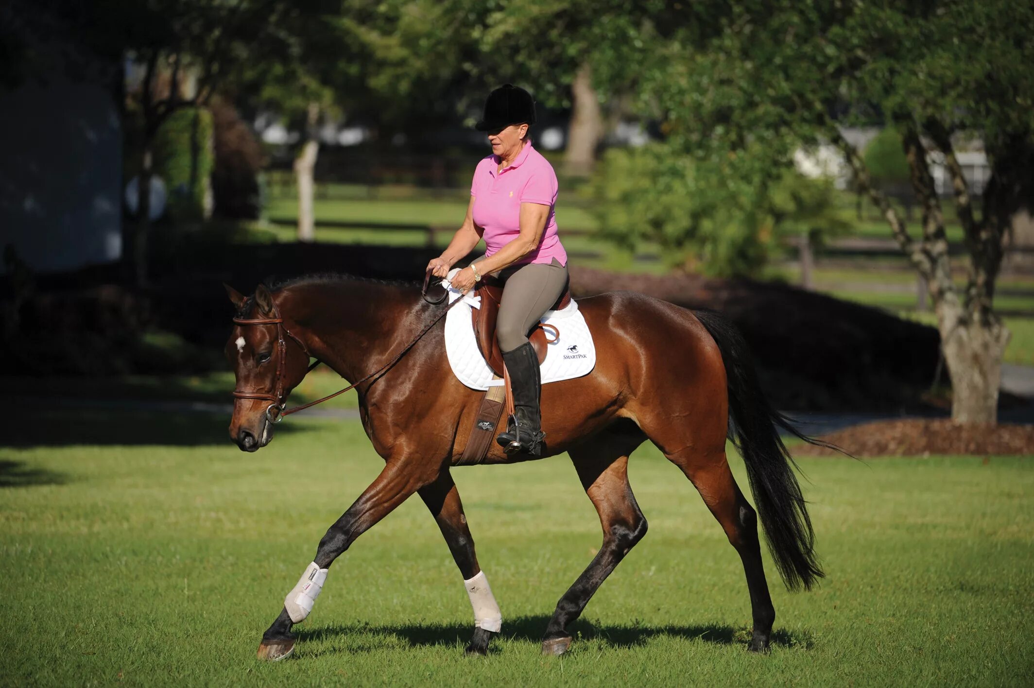 Беременна ли лошадь. Форхенд лошадь. Лонг Хорс. Лонг Хорс Реал. Horse Training.