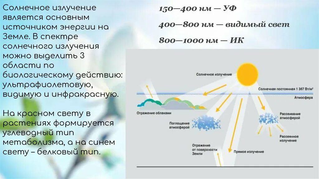 За сколько секунд солнечный свет достигает земли. Свет как экологический фактор. Влияние света на организмы экология. Излучение солнечных лучей. Освещенность как экологический фактор.