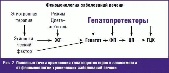 Механизм действия гепатопротекторов. Гепатопротекторная терапия. Гепатопротекторы для печени. Гепатопротекторные препараты механизм действия. Препараты для печени с доказанной эффективностью