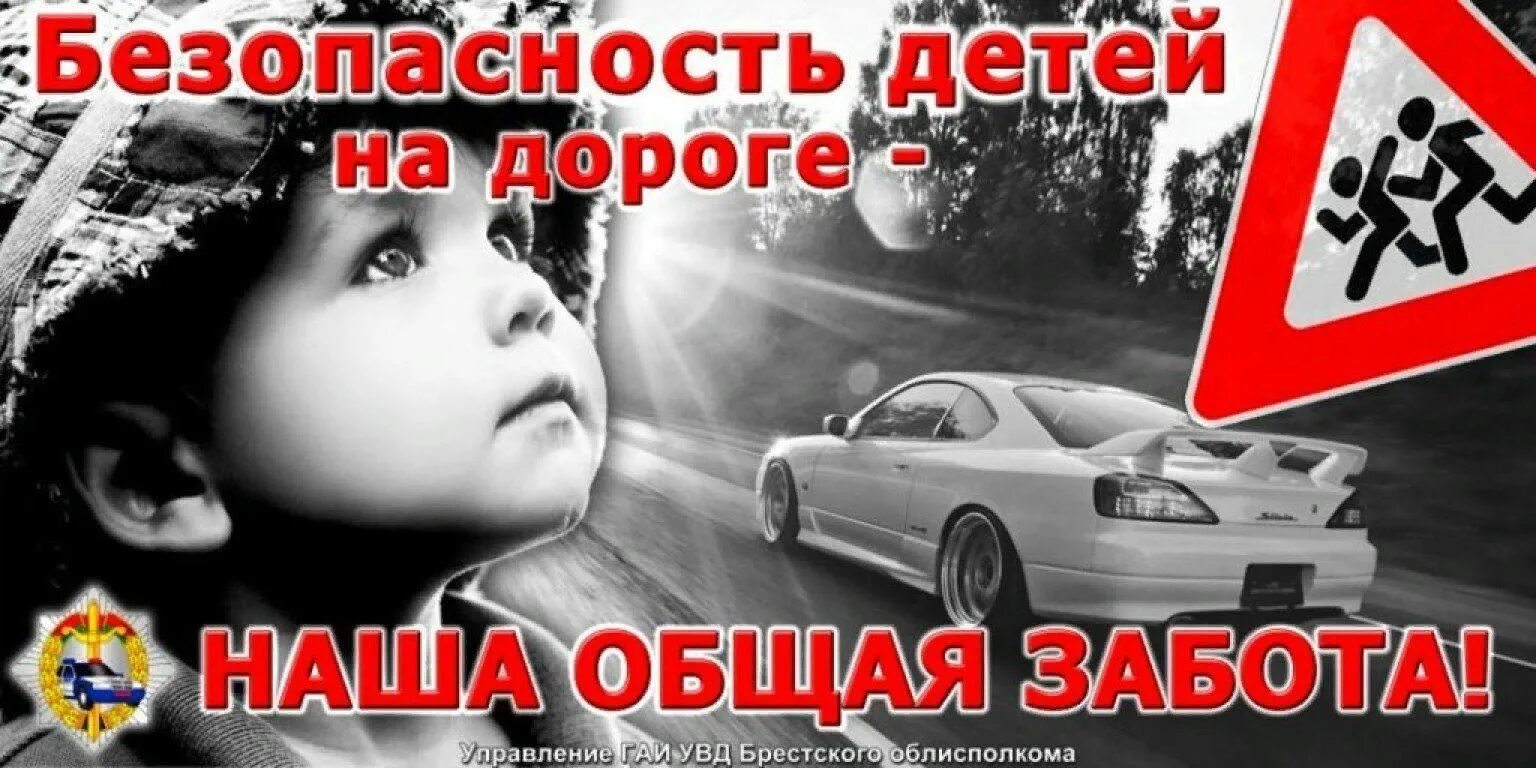 Эмблемы по пдд. Моя семья за безопасность на дороге фото. Эмблемы по пдд. Флешмоб по правилам дорожного движения. Светоотражатели юид.