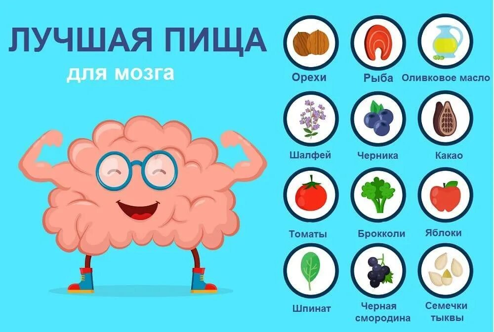 Пища для мозга. Продукты полезныедля мозгал. Полезные продукты для могза. Самые полезные продукты для мозга.