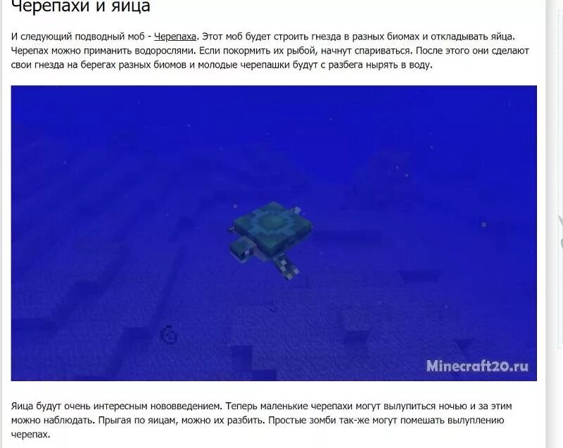 Сколько времени вылупляются черепахи в майнкрафт. Яйцо черепахи майнкрафт. как ускорить вылупление яйца черепахи в майнкрафт.