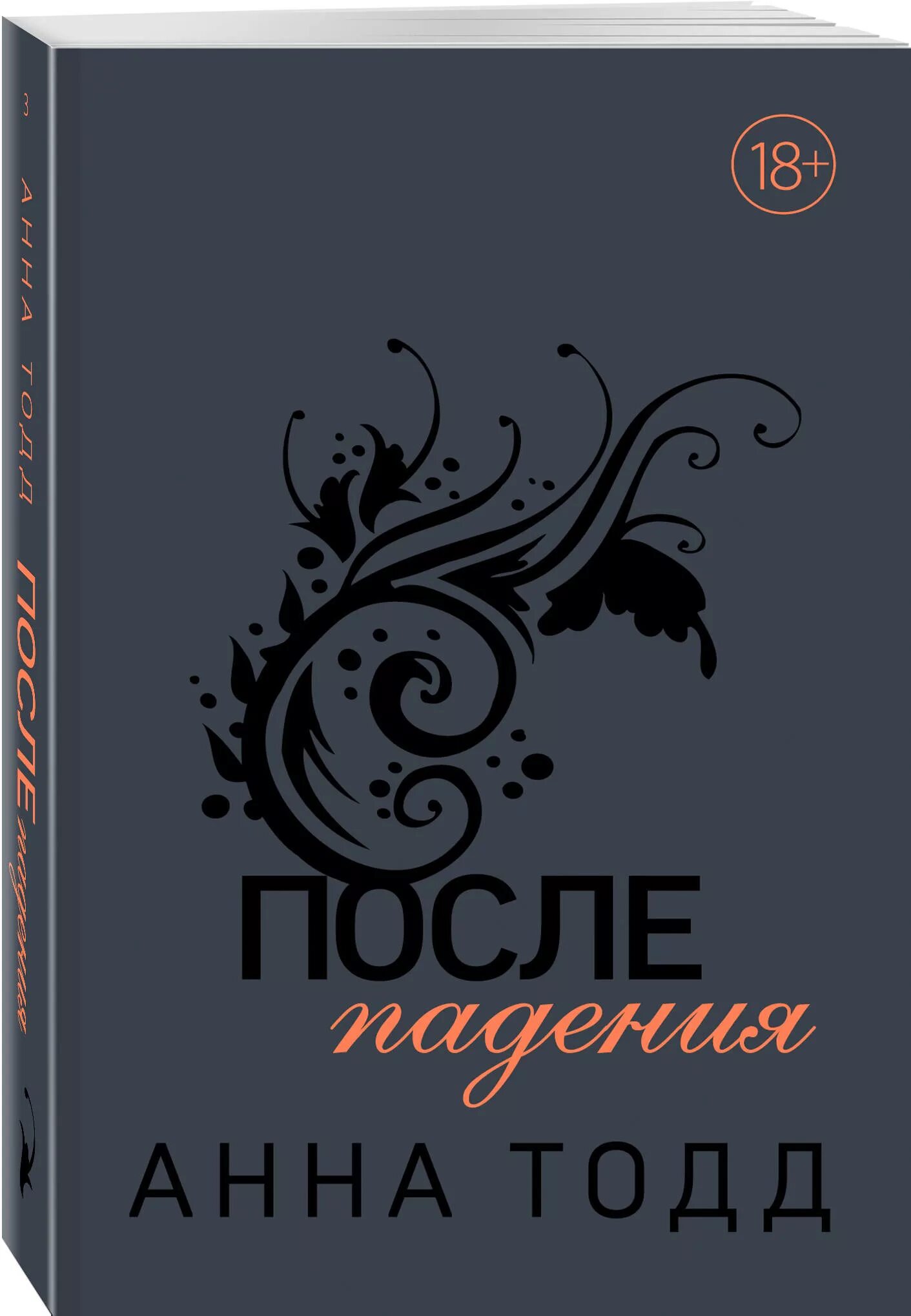 После падения книга. После книга.