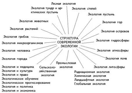 Структура современной жизни