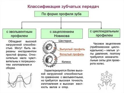 Классификация зубчатых