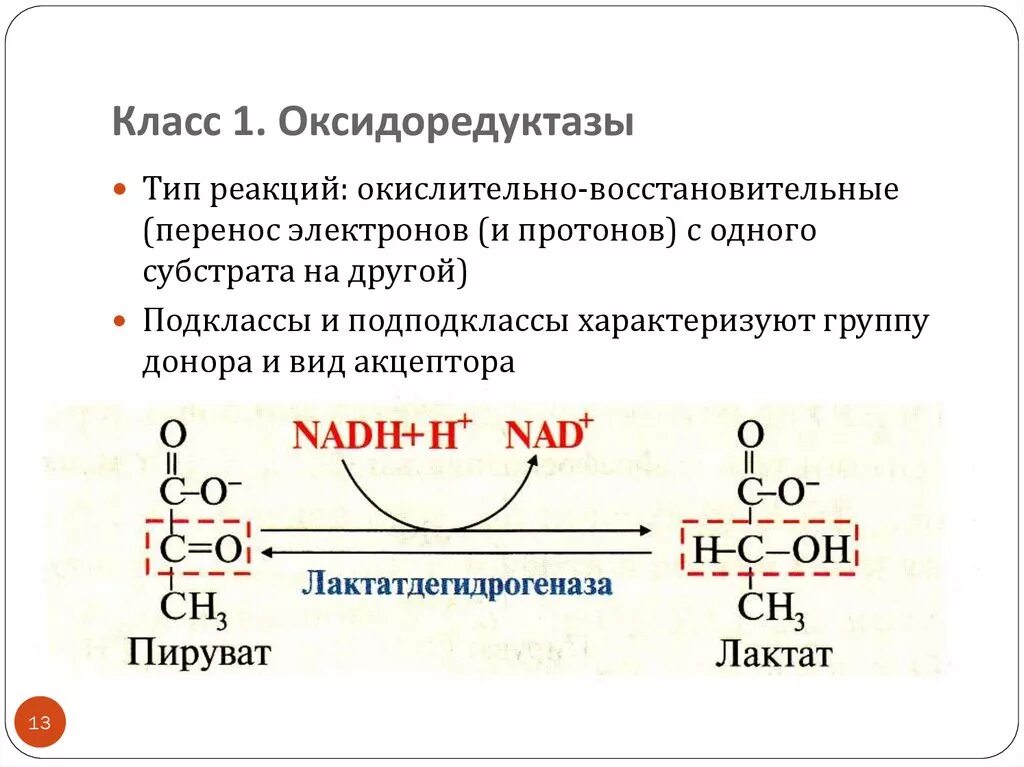 Окислительно восстановительные ферменты. Примеры реакций оксидоредуктаз. Реакция которая катализирует фермент класса оксидоредуктазы. Реакции катализируемые ферментами класса оксидоредуктаз. Схема реакции оксидоредуктазы.