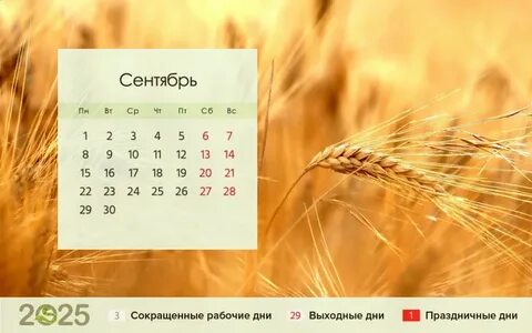 График праздников 2025 календарь