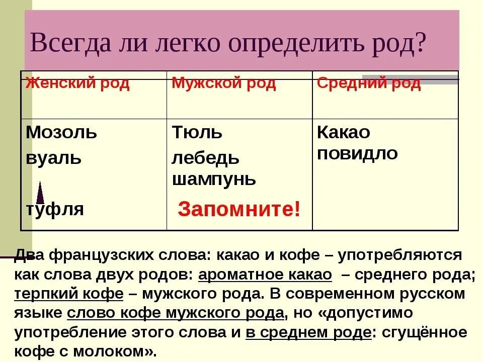 К какому роду относятся буквы. Мозоль какой род. Род слова мозоль. Мозоль род существительного род. Род слова какао.