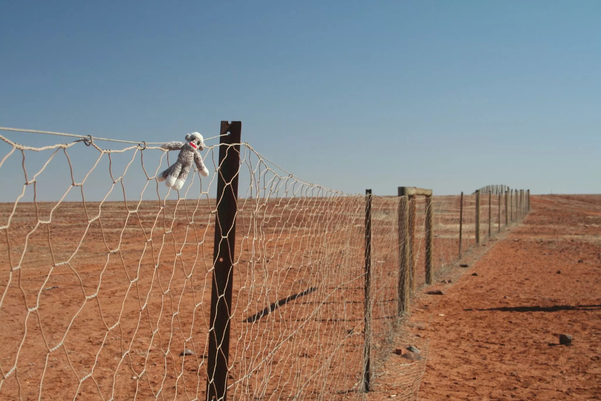 Стена динго австралия. Что за забором в австралии. Хайден рок каменная волна. Снимки стены в австралии. Стена от кроликов в австралии.