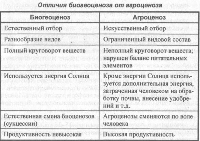 Сравнить природную экосистему и агроценоз. Характеристика агроценоза и биоценоза таблица. сравнение естественного биогеоценоза и агроценоза таблица. отличия агроценоза от биогеоценоза таблица. отличие биоценоза от биогеоценоза таблица.
