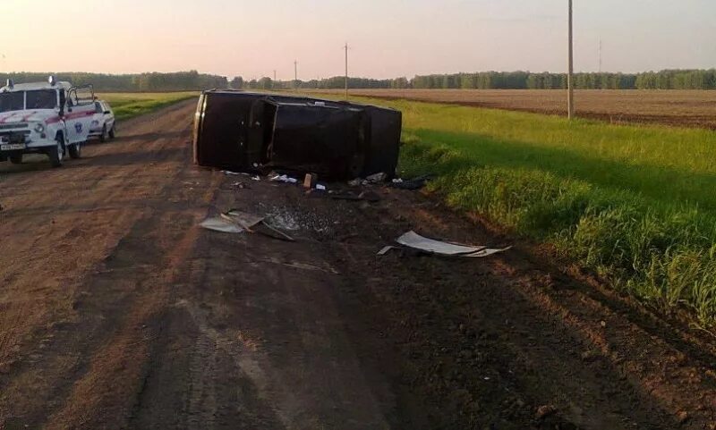 Погода в буняковке одесского района. Медвежье Исилькульский район. Аполлоновка Исилькульский район. Буняковка Одесского района Омской области. Исилькульский район село Солнцевка.