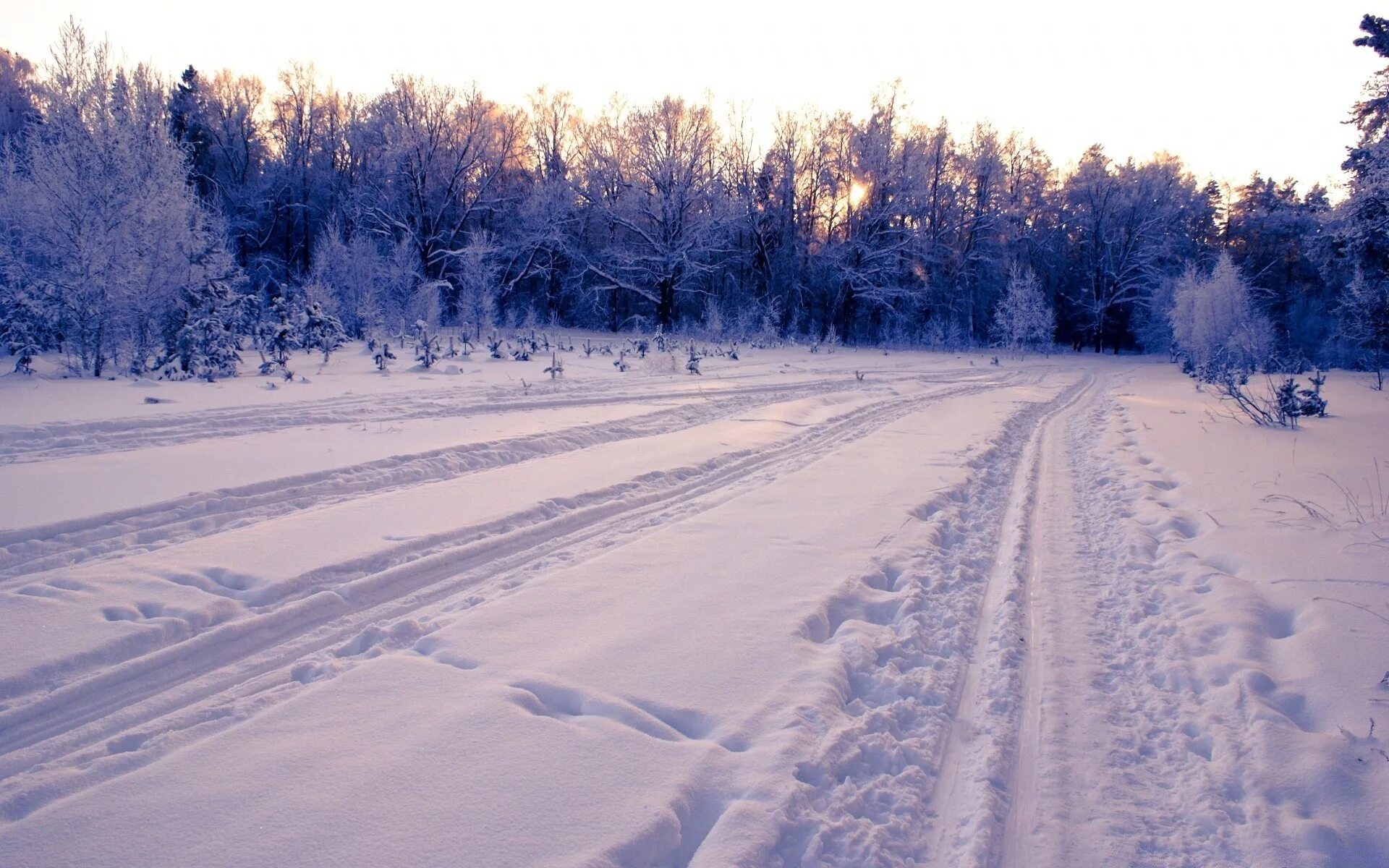 Зимняя дорога. Заснеженная дорога. Зимняя дорога в лесу. Снежная дорога в лесу.