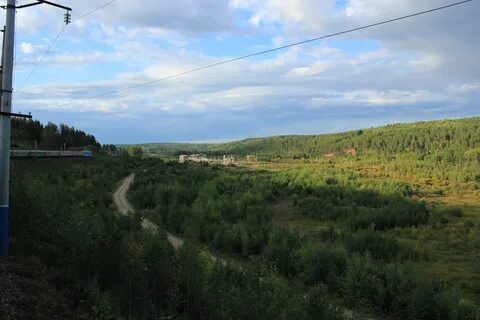 Погода камышет