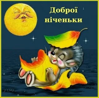 Стикеры для ватсап с пожеланиями доброго вечера