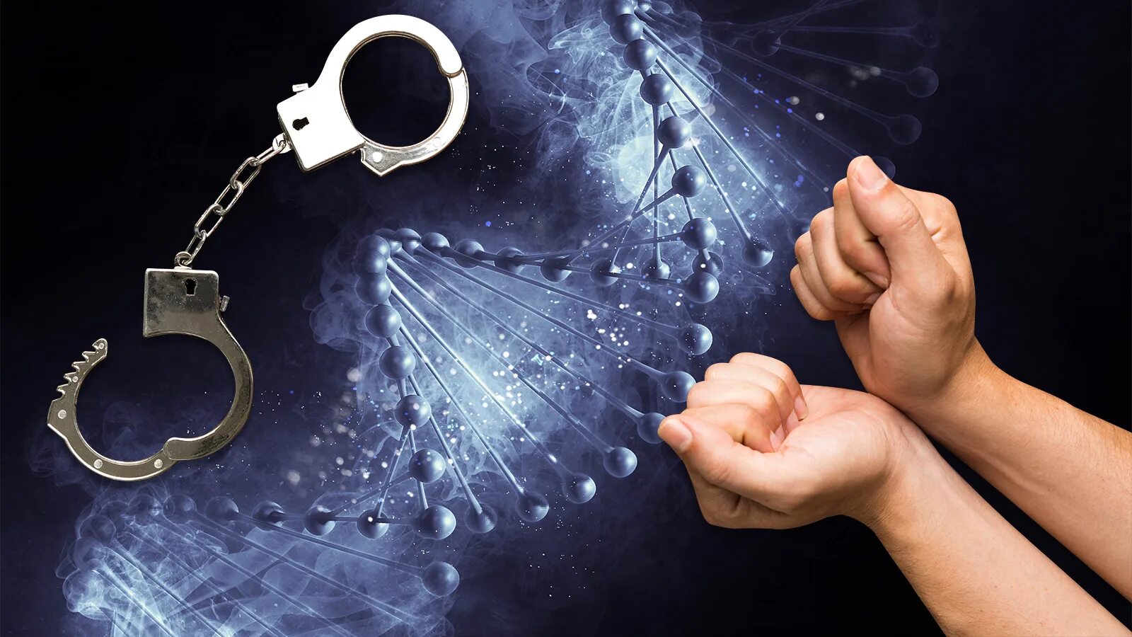 ДНК В расследование преступлений. Ключ к разгадке. Наследственная преступность. Ключ ДНК.