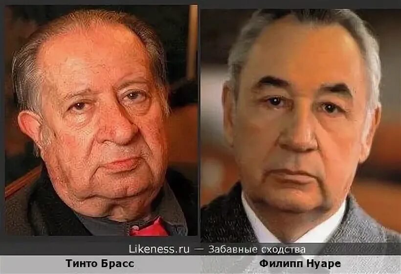 Имя режиссера брасса 5 букв