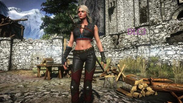 Доспехи цири ведьмак 3. Цири ведьмак 3 наряды. Цири ведьмак 3 наряды. Ведьмак 3 одежда цири. Альтернативный вид цири ведьмак 3.