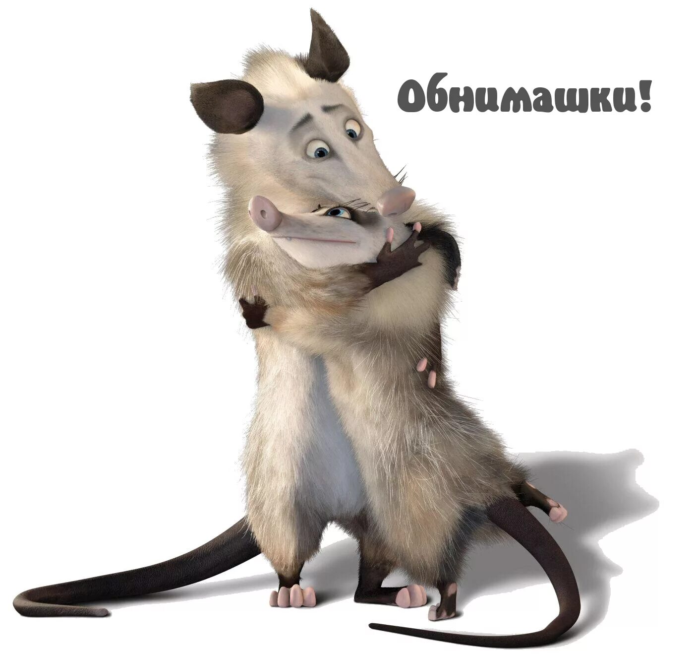 Веселые объятия. Обезьяны обнимаются. Любовь животных. Объятия животные. Обезьяна обнимает.