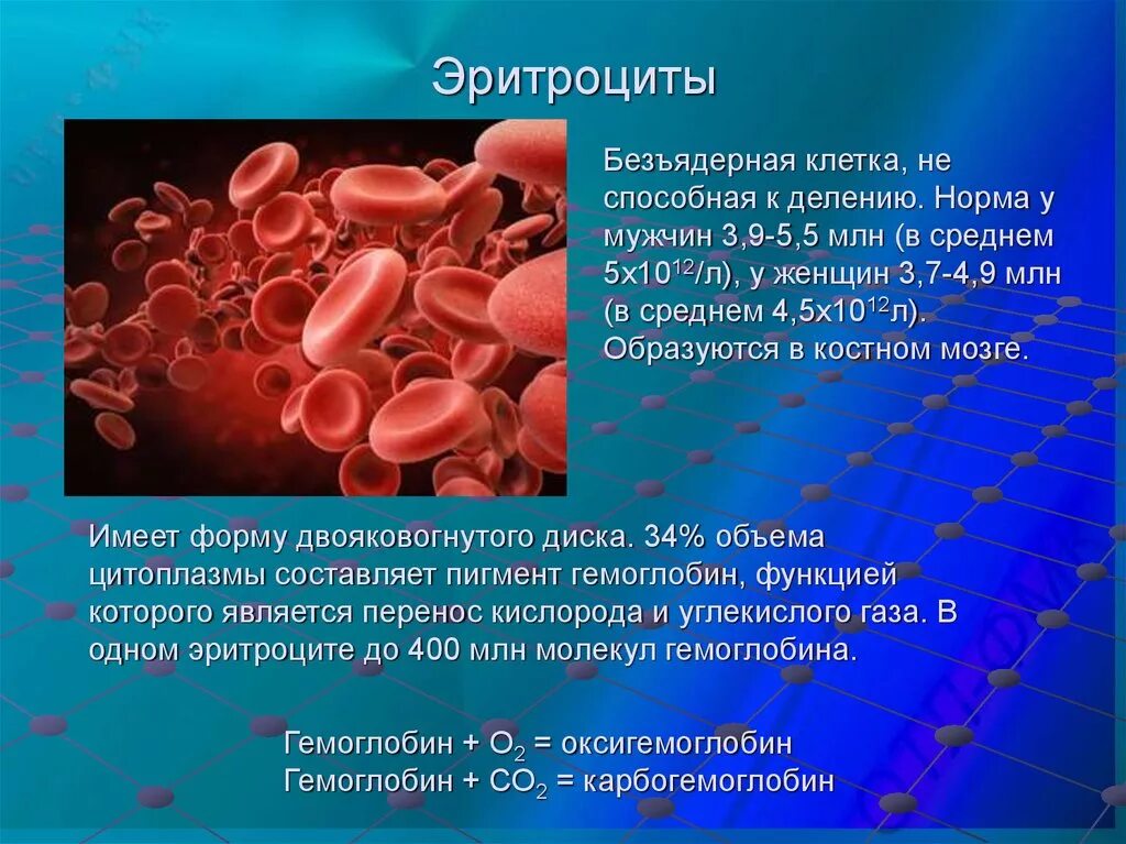 1 функции эритроцитов. Эритроциты. Эритроциты безъядерные клетки. Эритроциты в крови. Эритроциты строение и функции.