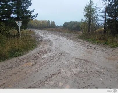Погода рослятино вологодская область бабушкинский