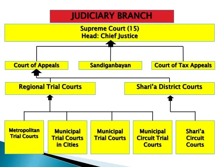 Political system of canada презентация. Judicial branch. Montagem relacionista judicial slowed. Russian judicial system таблица заполненная. Montagem relacionista judicial slowed.