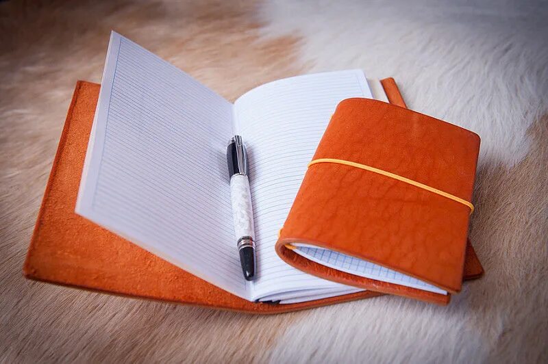 Pp s journal