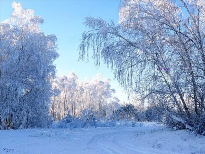 Пелена это сплошной покров. Над горизонтом какой член предложения. Объяснение слова пелена. Словарная работа ветер. Пеленою значение слова 2 класс.