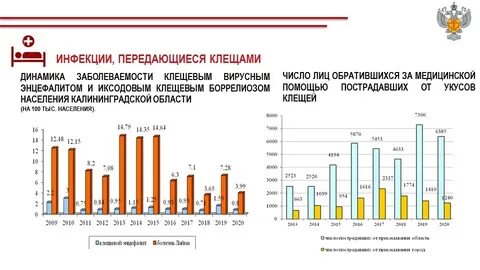 Роспотребнадзор статистика