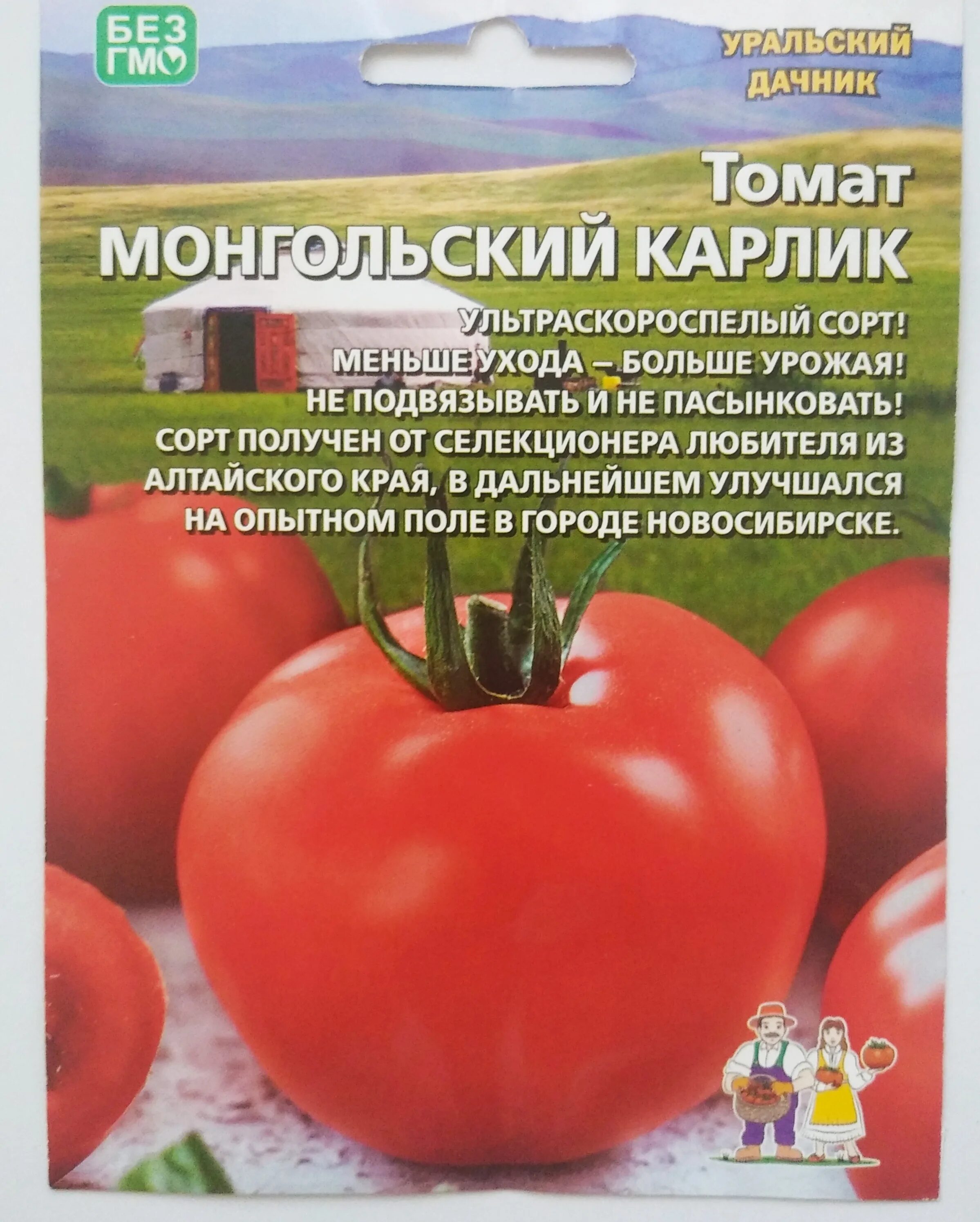 Сорт помидор монгольский карлик. Сорт томатов монгольский карлик отзывы фото. Сорт томатов монгольский карлик отзывы фото. Томат сибирский карлик. Томат черный монгол.