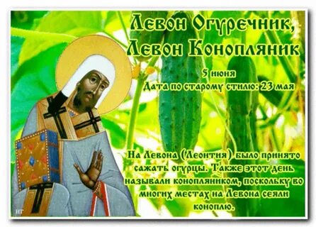 В какой праздник сажают огурцы в мае