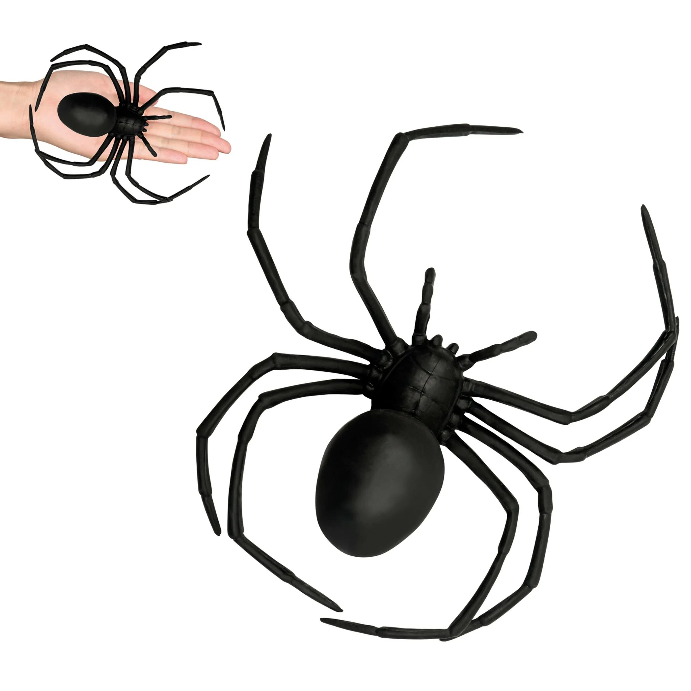 Черный паук хорошо. Черная вдова паук. Паук черная вдова картинки. Черный паучок. Черная вдова паук рисунок.