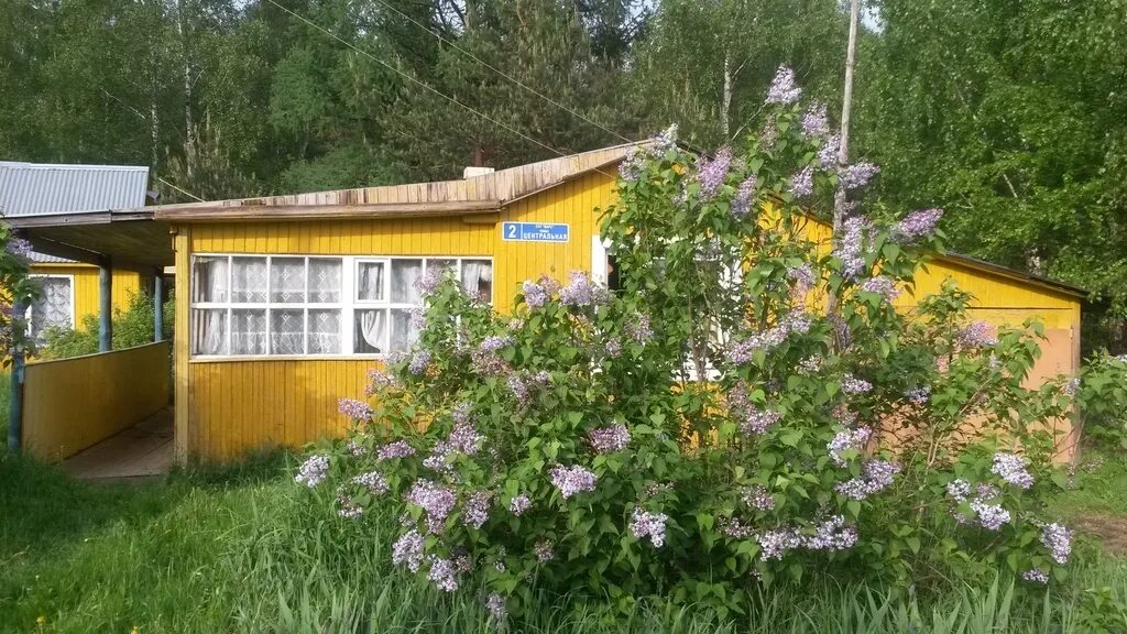 Снт марс 27 км приозерского шоссе. Снт марс д козлово. Снт марс агалатово. Снт марс. Снт марс козлово.