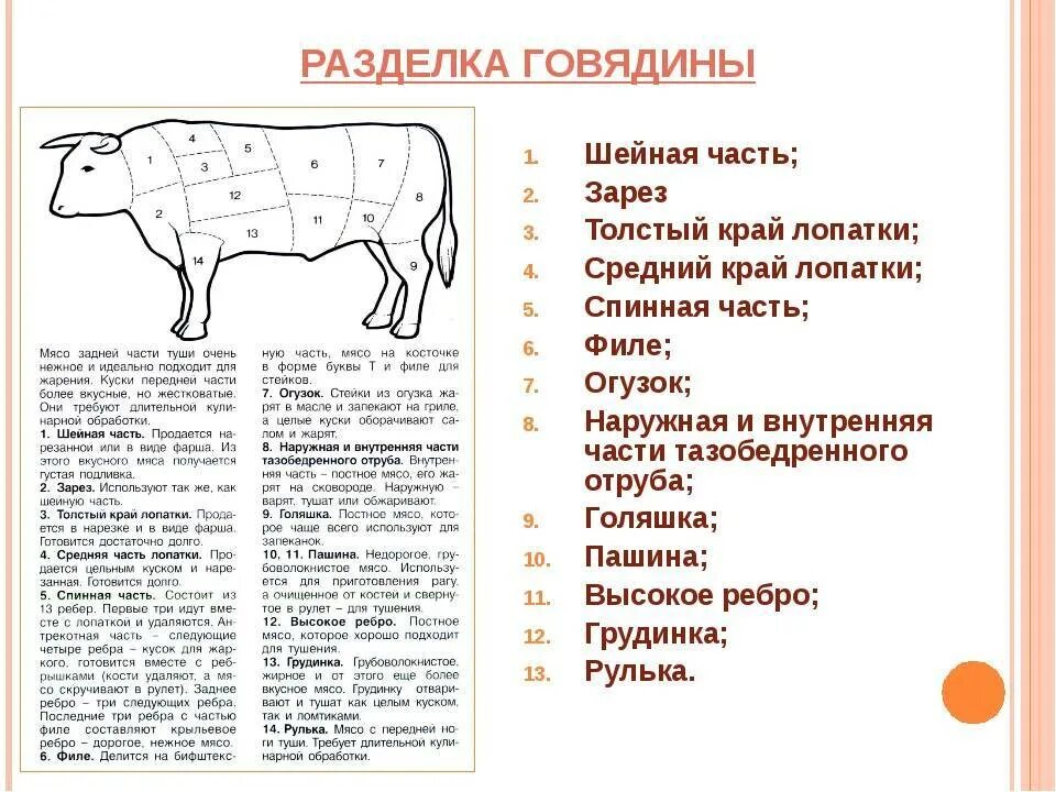 Части говядины для чего подходит. Схема разделки говяжьих туш. Схема раздела туши говядины. Схема разделки говяжьей туши. Схема разрубки туши говядины.