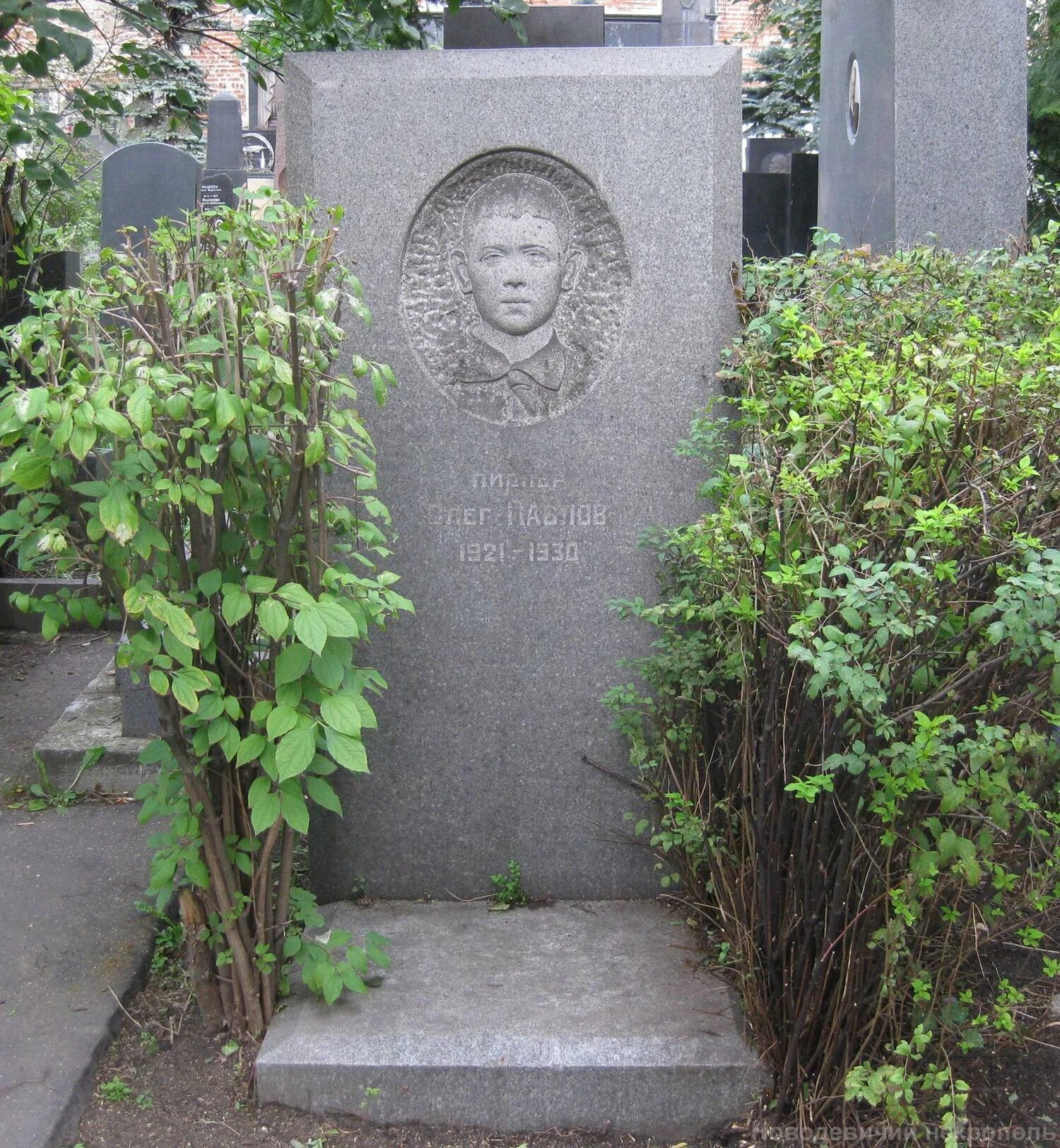 Могила Леонова на Новодевичьем кладбище. Могила Раппопорта Новодевичье кладбище.