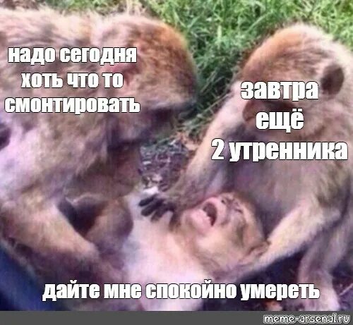 Дайте мне спокойно умереть мем обезьяны Мем: "В самолетах появится Wi-Fi Что с ним" Все шаблоны