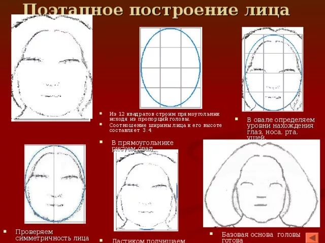 Пропорции лица для рисования. Пропорции головы. Пропорции головы для рисования. Лицо из квадратов.