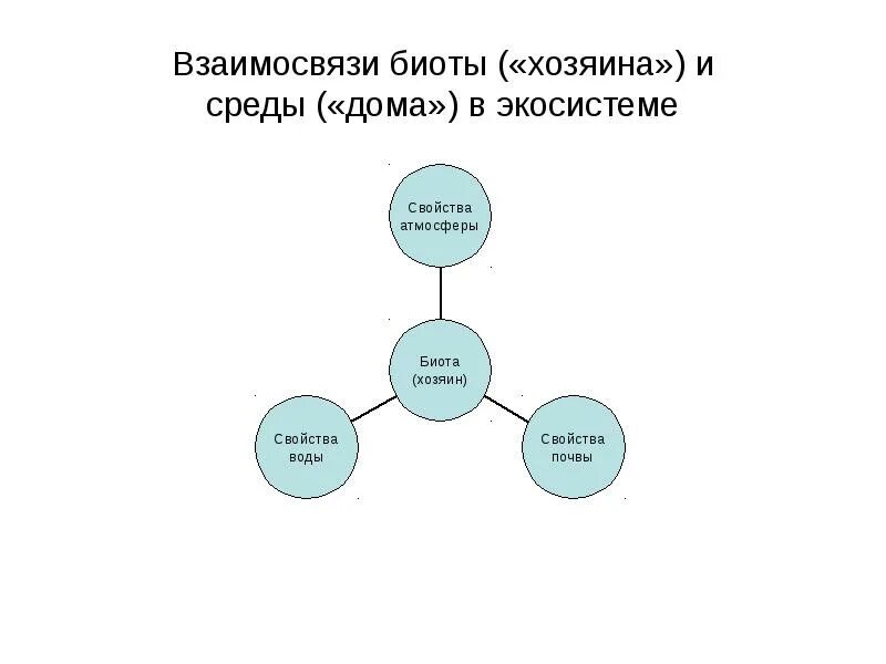Сущность геоэкологических исследований направления геоэкологических исследований. Сущность геоэкологических исследований направления геоэкологических исследований