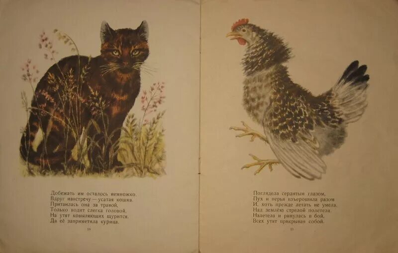 Курочка ряба и 10 утят маршак читать. Курочка ряба и 10 утят маршак читать