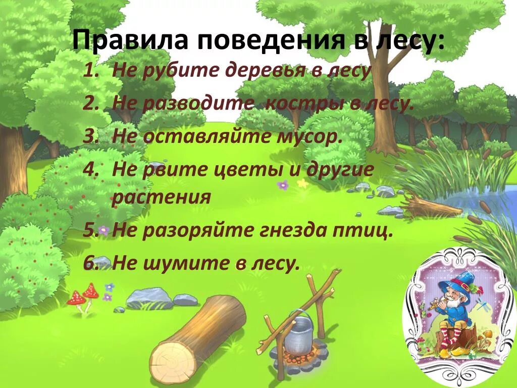 Пословица срубленное дерево не вырастет. Поведение в лесу. Лес правила поведения в лесу. Памятка поведения в лесу. Поведение в лесу для детей.