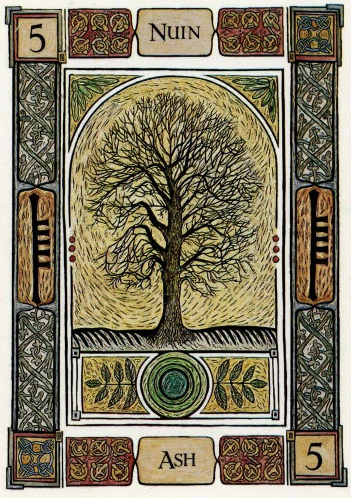 Огам Кельтский оракул деревьев. Oracle Cards Celtic Tree оракул Кельтское дерево. Таро огам. Огам ясень.