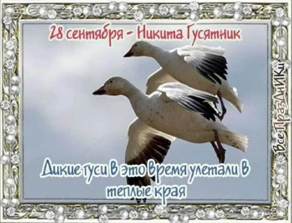 Народный календарь 28 сентября картинки. Народный календарь 28 сентября картинки. Дмитров день по народному календарю. Народный календарь 28 сентября картинки. Народный календарь 28 сентября картинки.