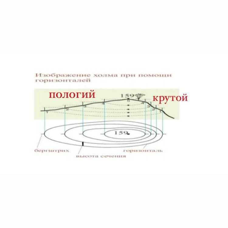 Как определить крутой склон. Абсолютная высота холма на топографической карте. пологий склон по горизонталям. крутой и пологий склон горизонтали. определите какой склон крутой.