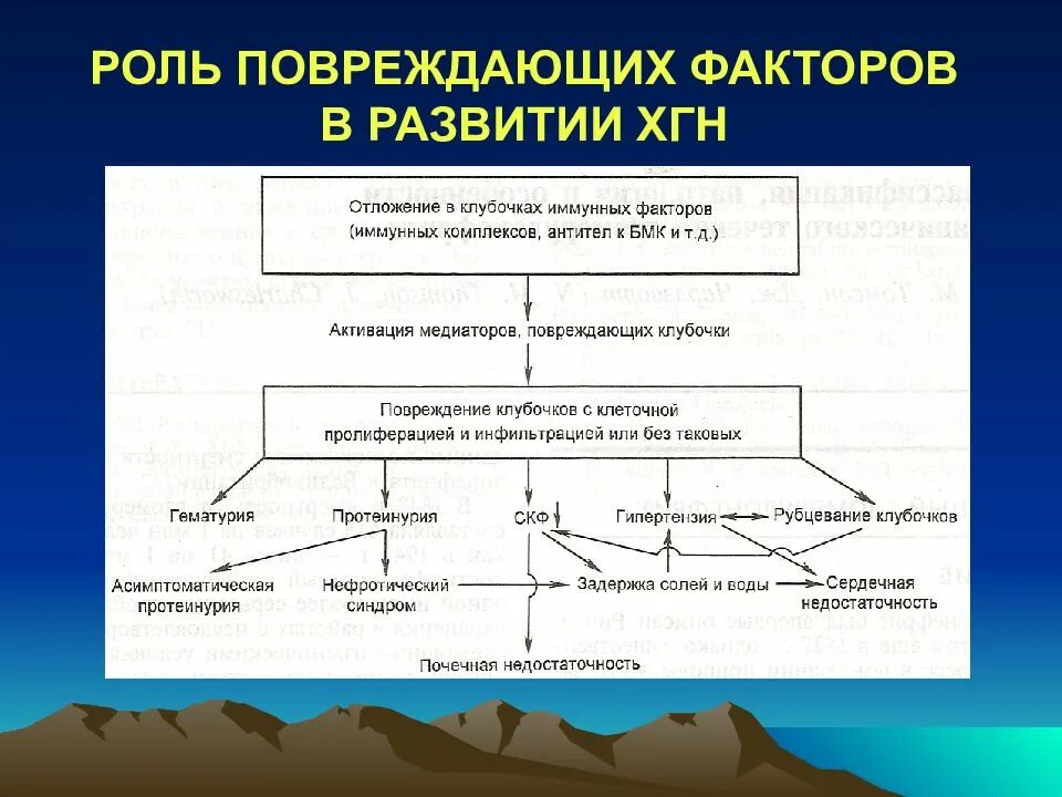 Патогенез хронического гломерулонефрита. Факторы развития гломерулонефрита. повреждающие факторы развития. факторы способствующие возникновению гломерулонефрита. классификация повреждающих факторов.