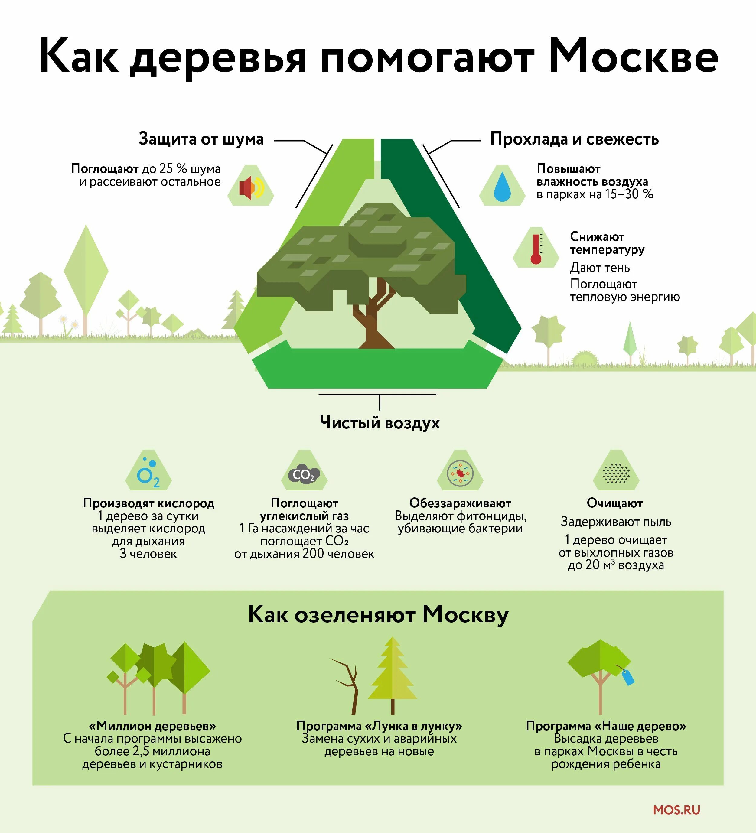 Деревьям нужен воздух. Миллион деревьев Москва. Очистка воздуха деревьями. Программа посадки деревьев. Миллион деревьев программа Москва.