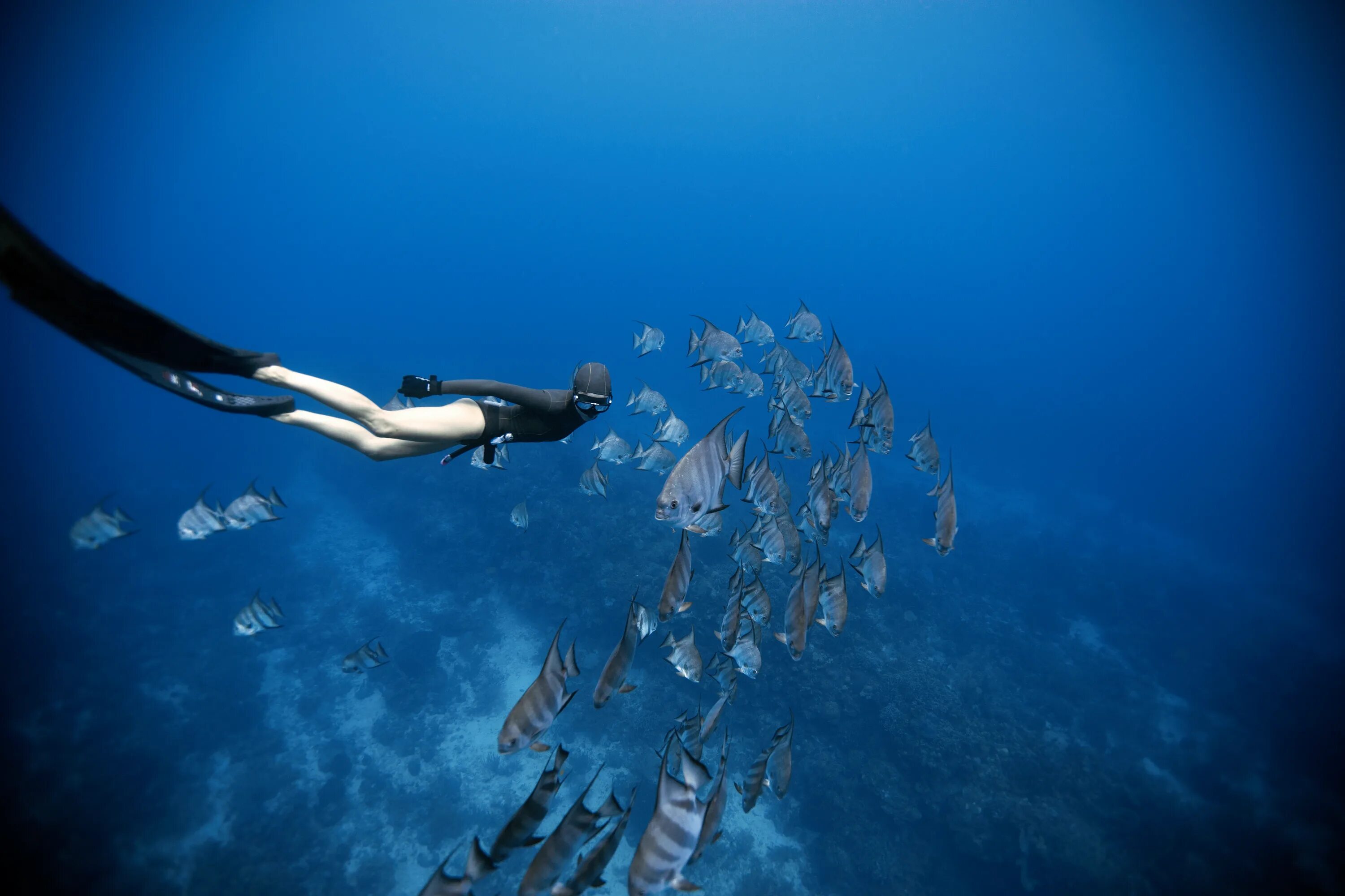 Life is diving. Под водой. Фотосессия под водой. Фридайвер под водой. Мир под водой.