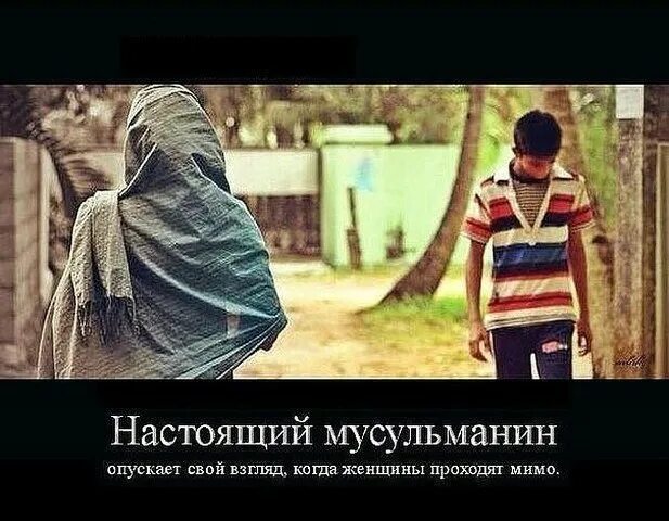 Мимо опустить