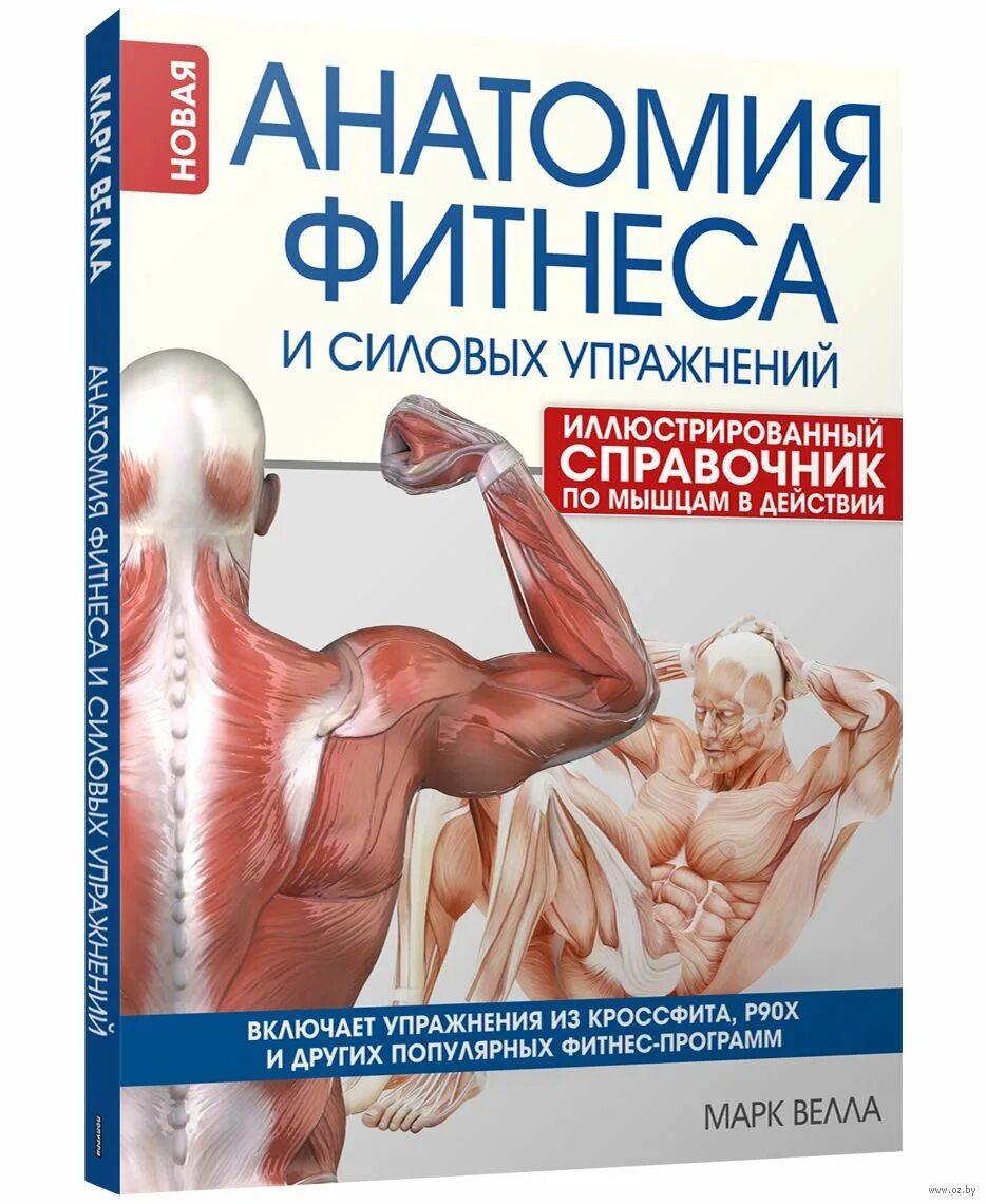 Анатомия фитнес клуб. Анатомия фитнеса отзывы. Спилио катерина анатомия фитнеса. Анатомия фитнеса отзывы. Анатомия фитнес спб.