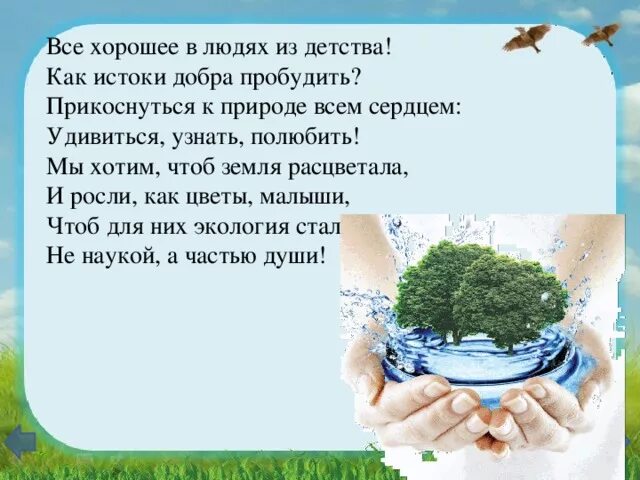 Мы не хотим чтоб наши земли. Прикоснись к природе сердцем. Прикоснись к природе сердцем стенгазета. Прикоснись к природе сердцем стихи. Экологическая газета Прикоснись к природе сердцем.