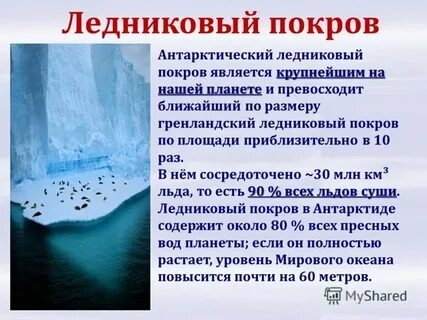 Образование льдов в мировом океане